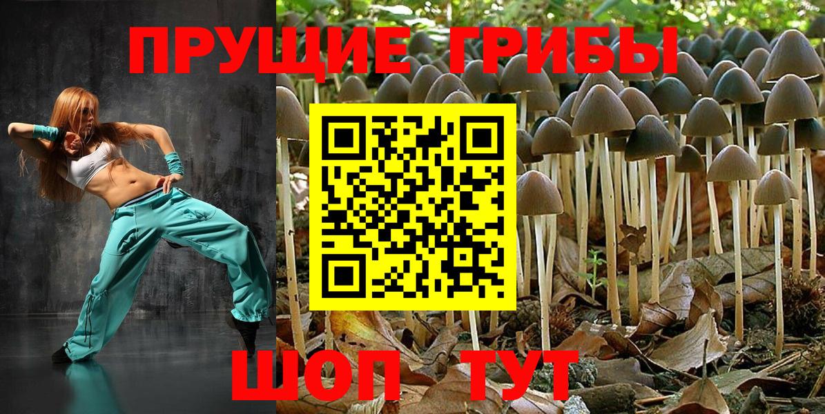 Псилоцибиновые грибы прущие грибы Пыть-Ях